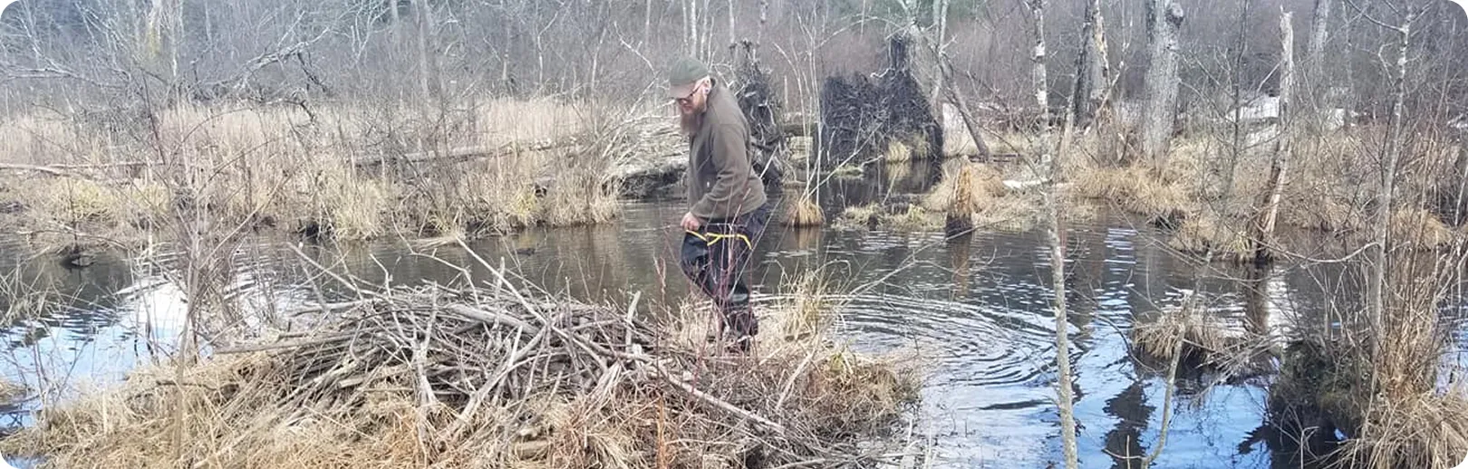 professional wildlife control services